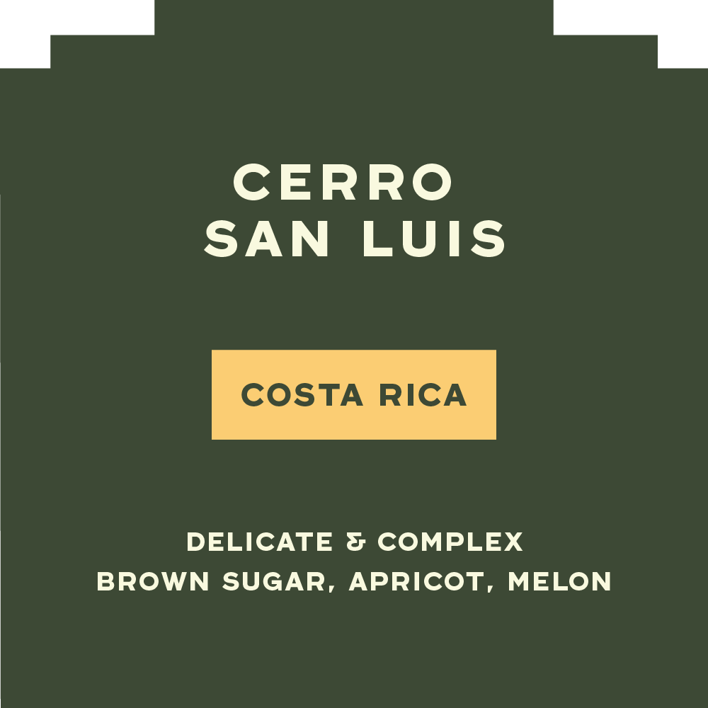 Cerro San Luis
