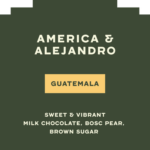America & Alejandro