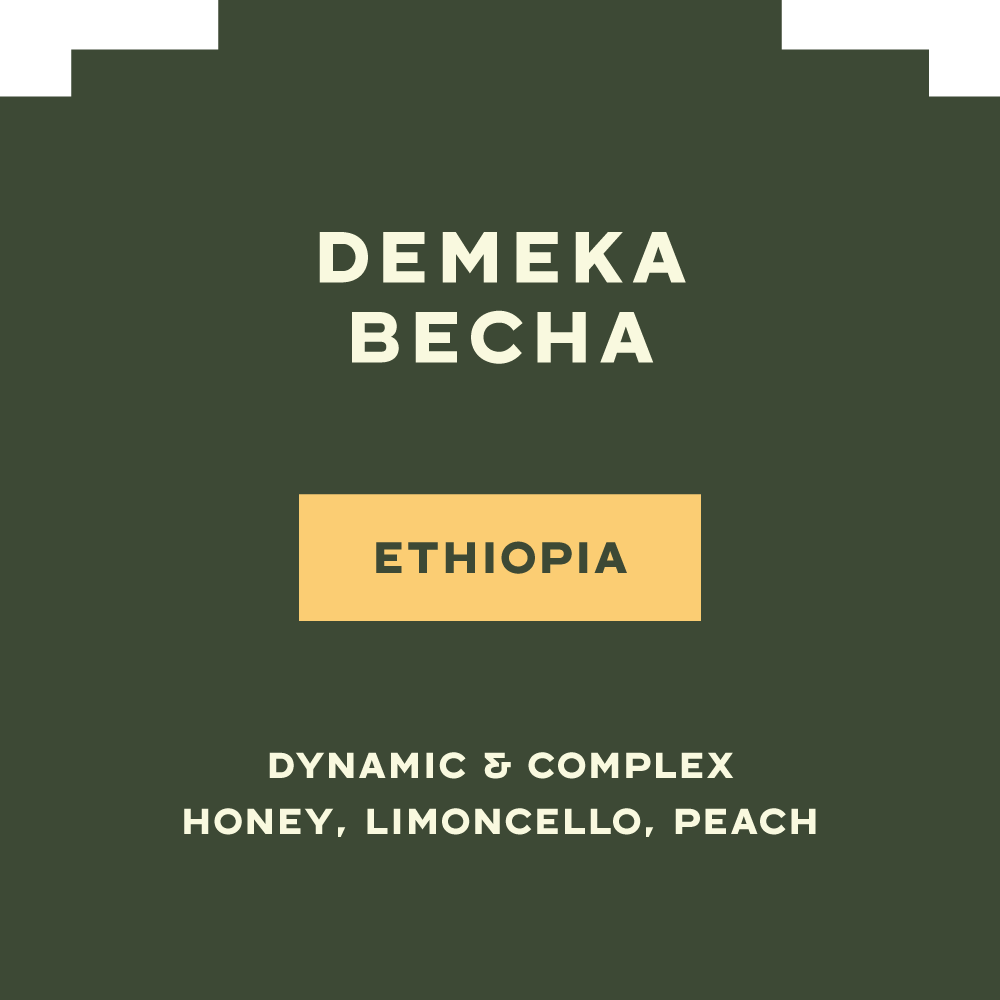 Demeka Becha